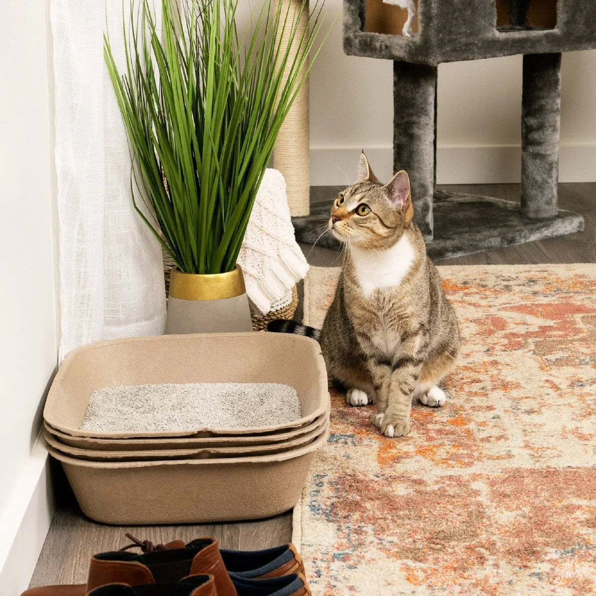 Large Cat Sifter, Eco-Friendly Litterbox with Scoop - Pack of 6